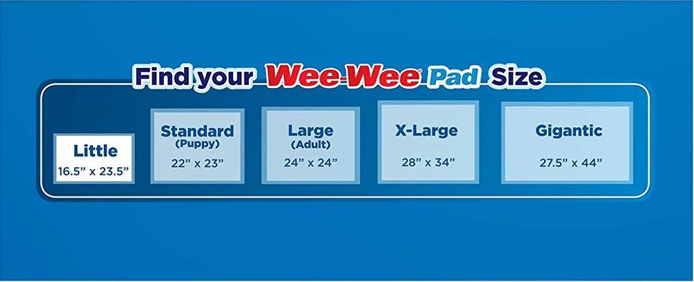 Four Paws comparaison de taille illustrant l'avantage 140 % plus grand