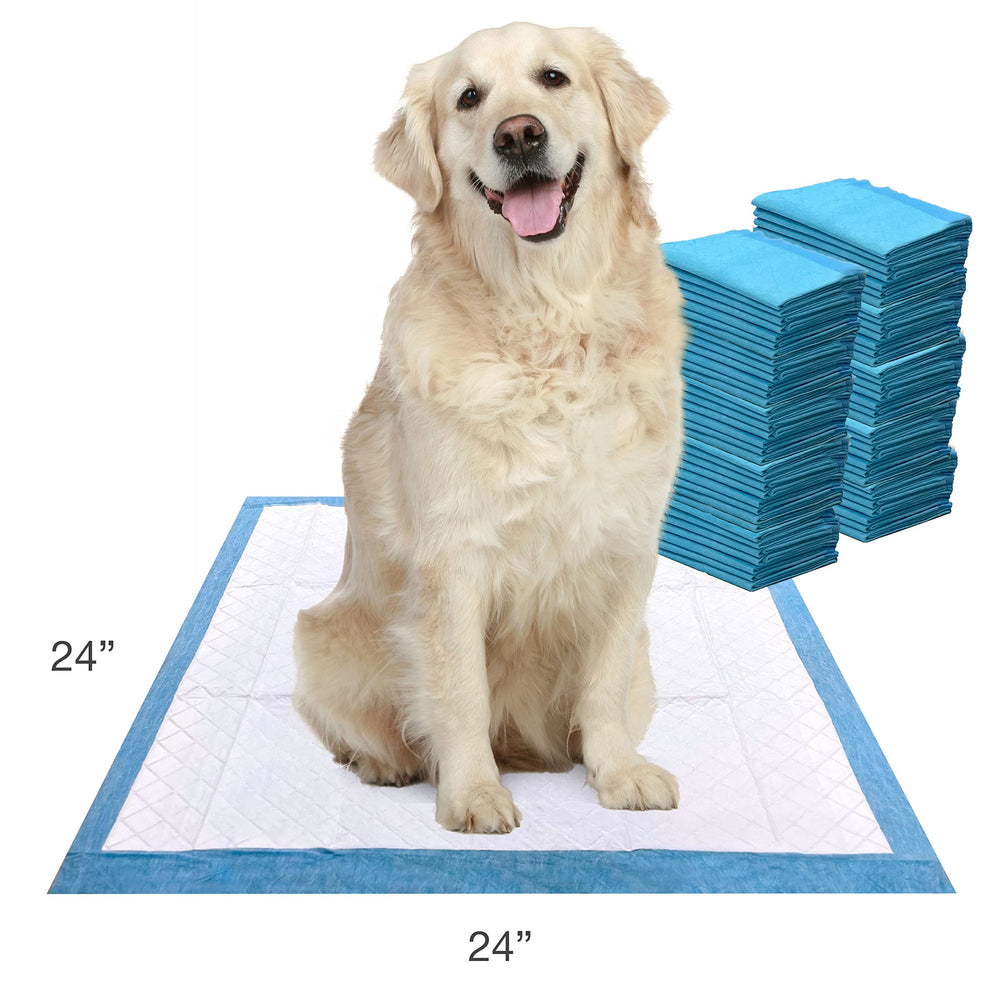 Four Paws démonstration d'absorption rapide et verrouillage