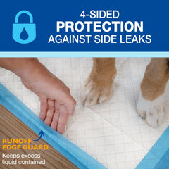 Four Paws gros plan des six couches montrant la protection anti-fuite et absorption rapide