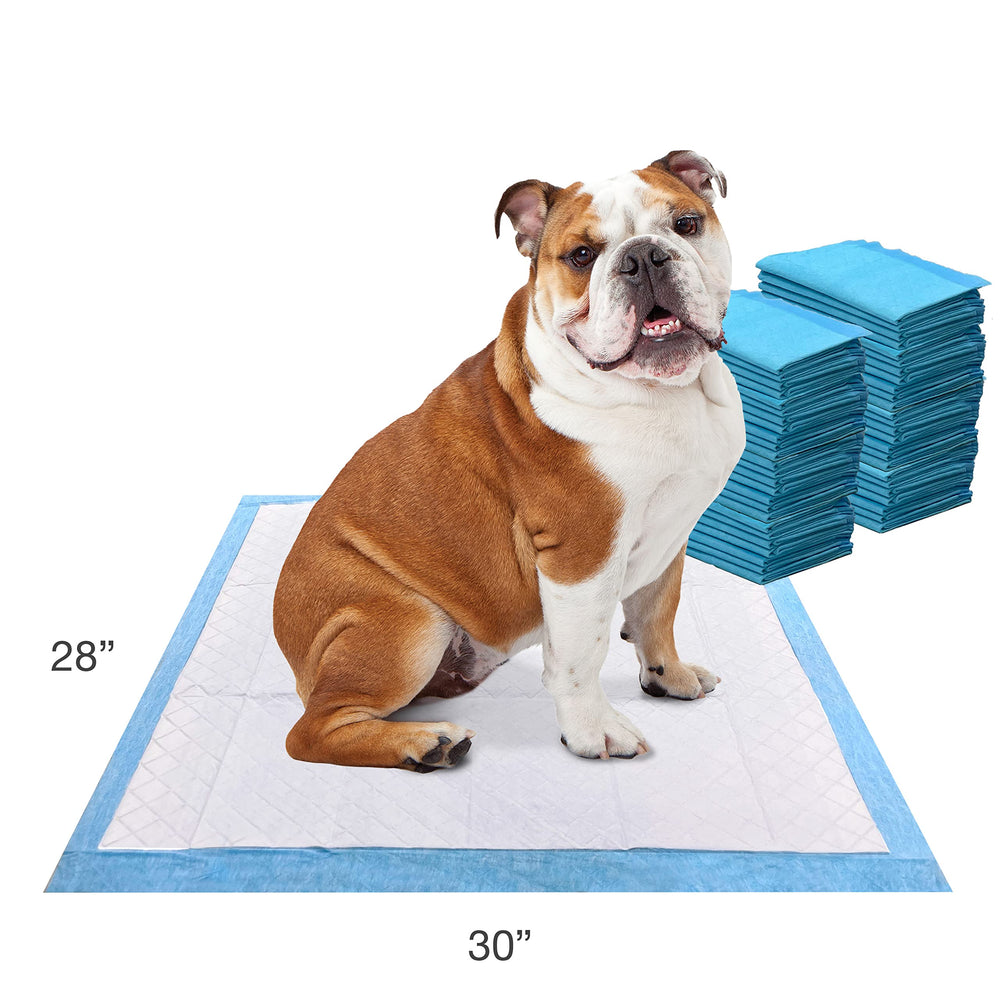 Four Paws détail surface résistante et séchage rapide bénéfique