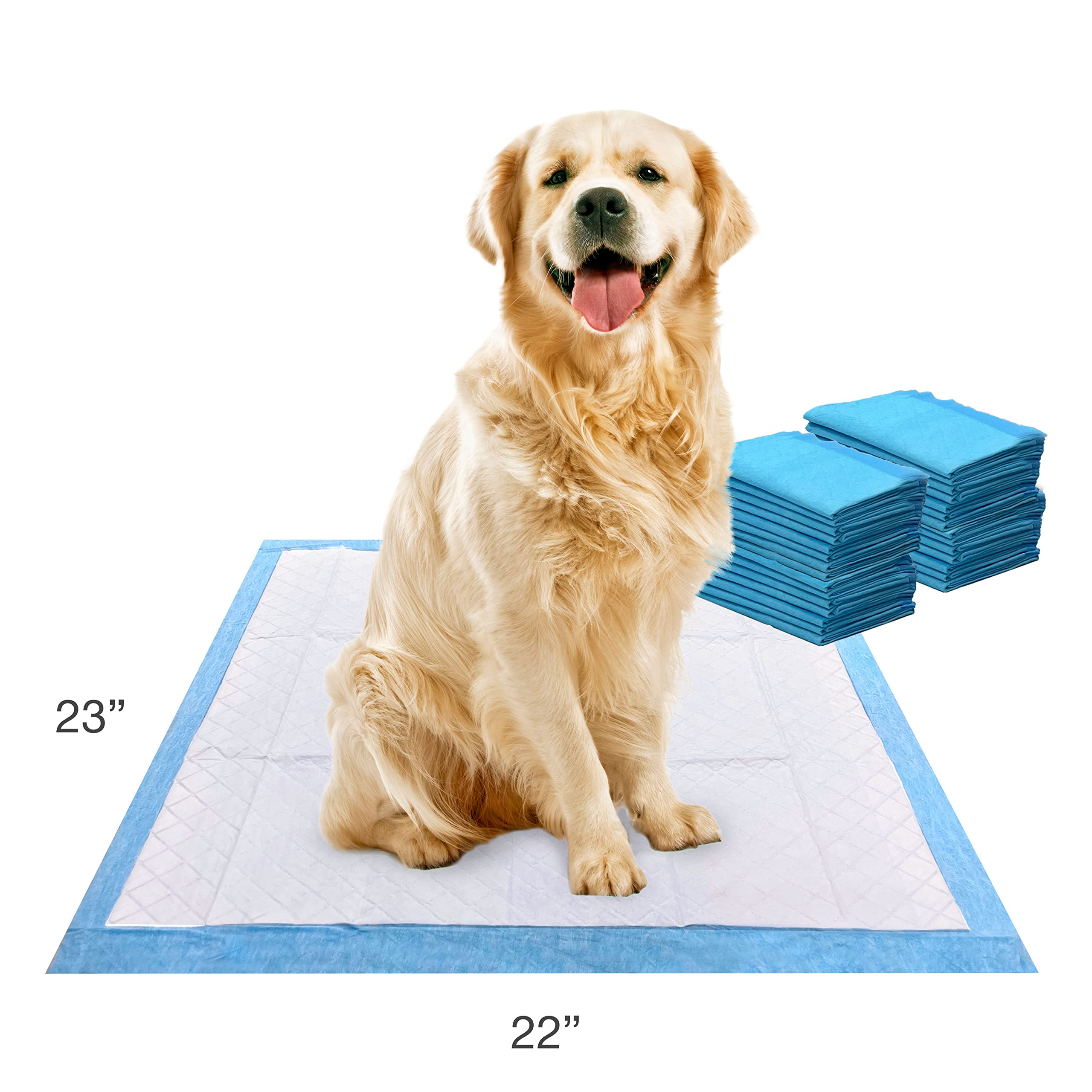 Four Paws tapis à côté d’un chien pour visualiser la taille