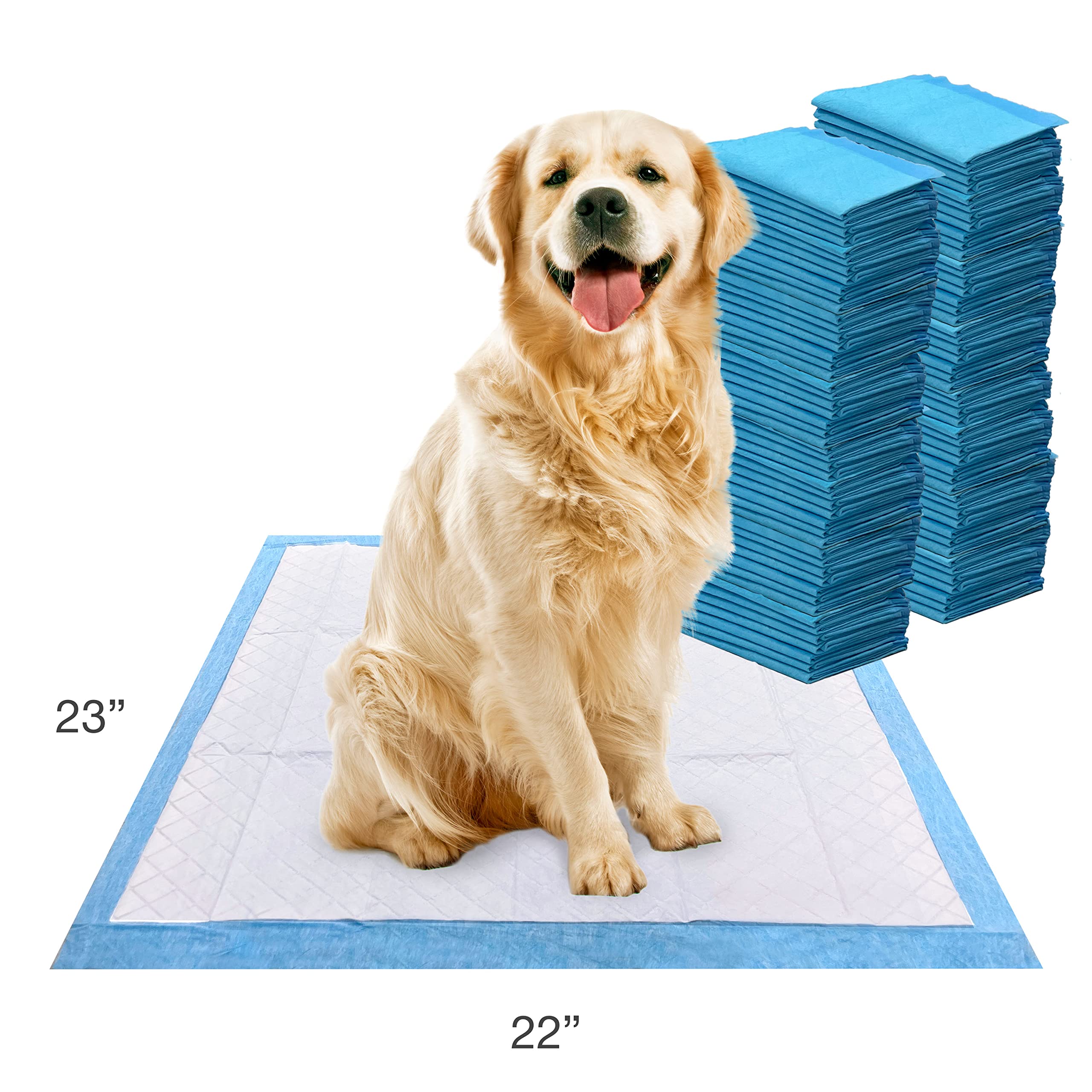 Four Paws tapis en usage par un chiot facilitant l’apprentissage