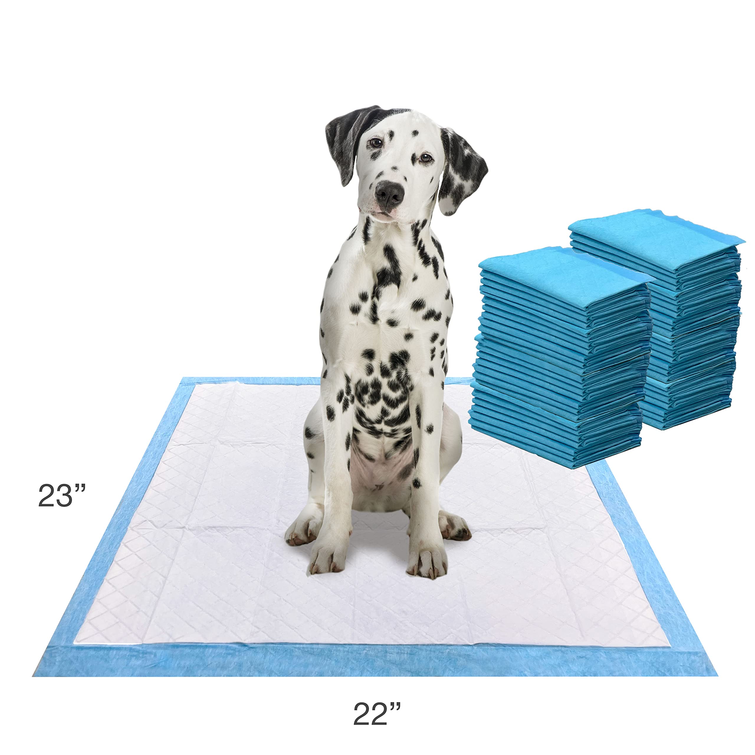 Four Paws tapis en usage intérieur gardant la maison propre et sèche