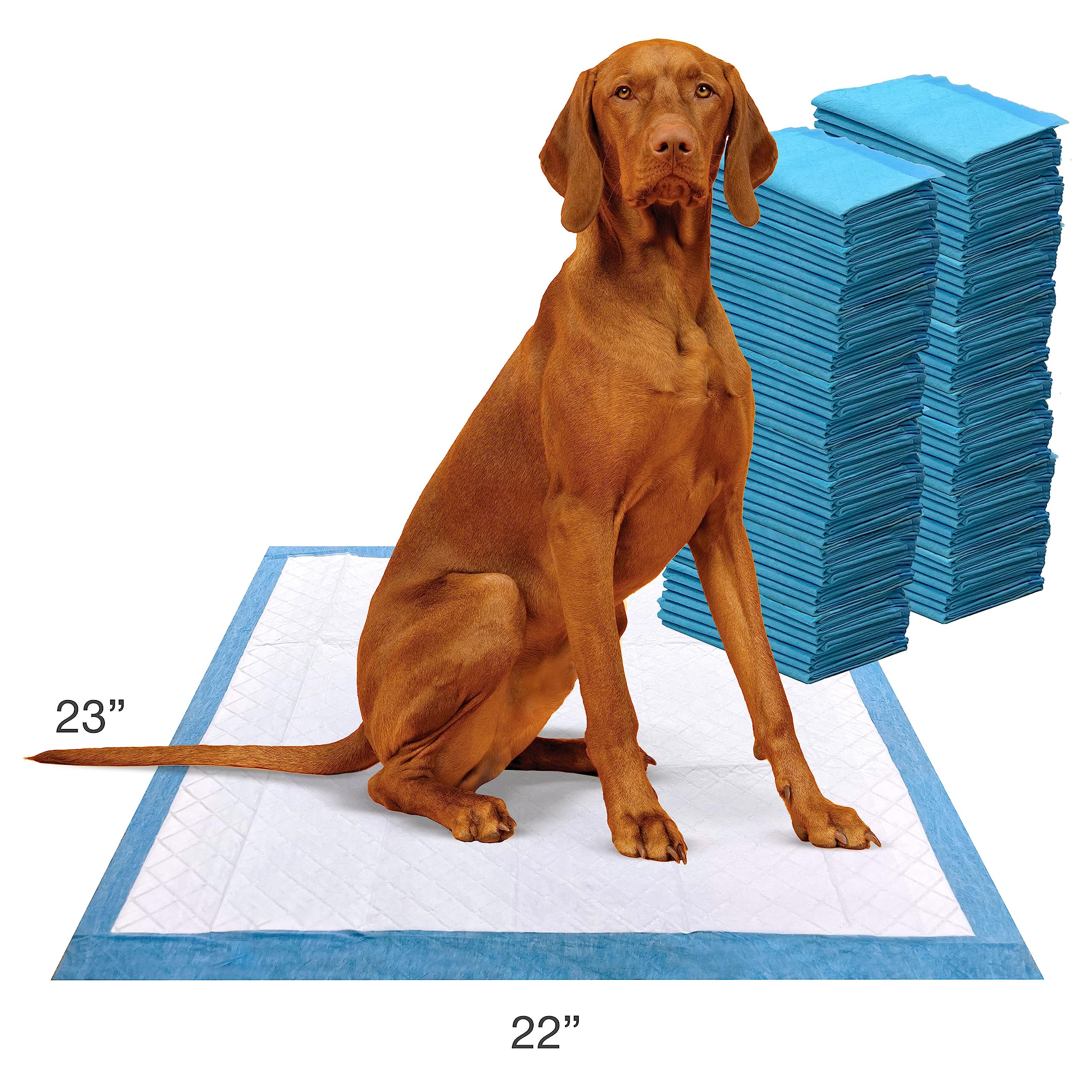 Four Paws étiquette formule avancée sans parfum pour contrôle odeurs