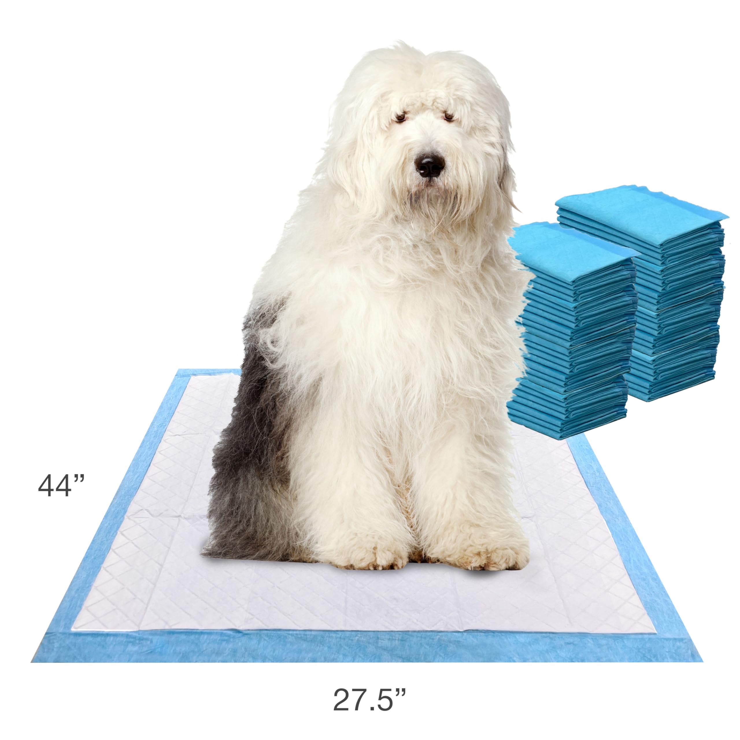 Four Paws gros plan sur les six couches absorbantes, protection du sol renforcée