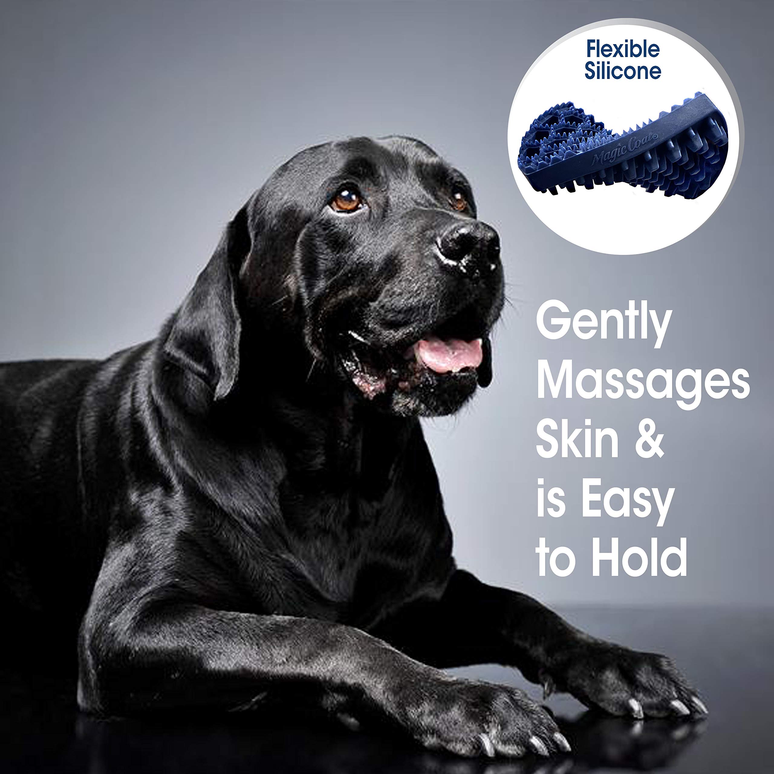 Four Paws brosse utilisée sous la douche sur chien, facilite lavage