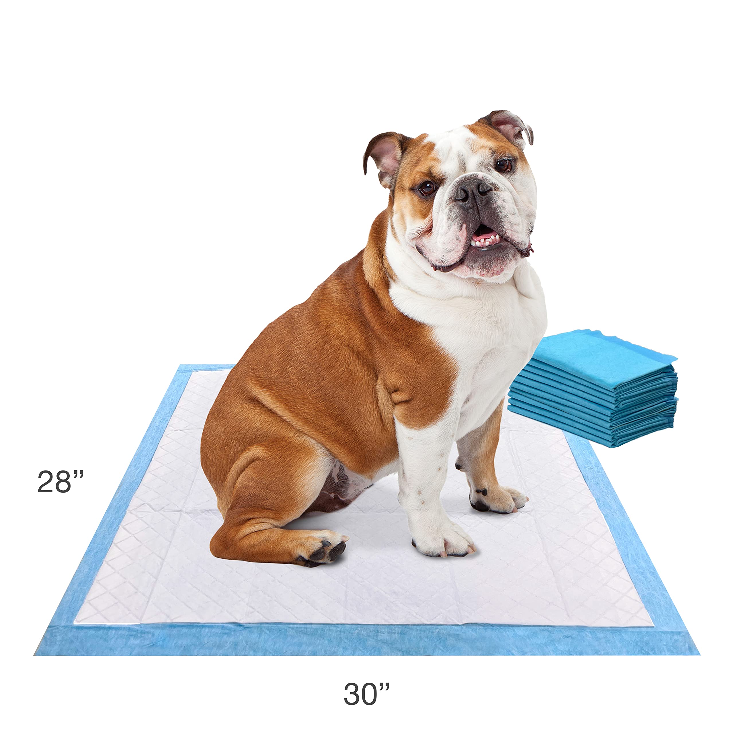 Four Paws coin imperméable détail montrant barrière de protection contre les fuites