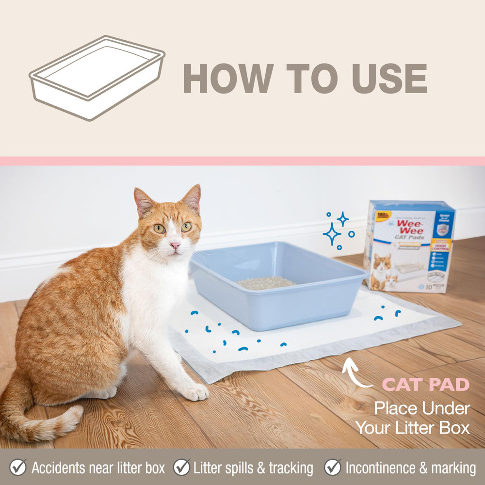 Four Paws gel absorbant coupé montrant verrouillage rapide des liquides