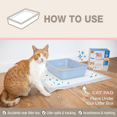 Four Paws gel absorbant coupé montrant verrouillage rapide des liquides
