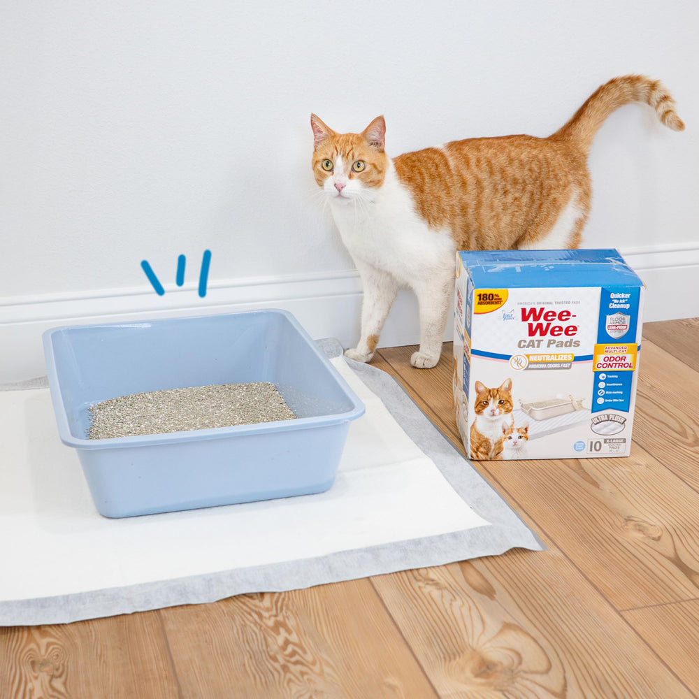 Four Paws pad placé sous un bac à litière démontrant protection contre débordements