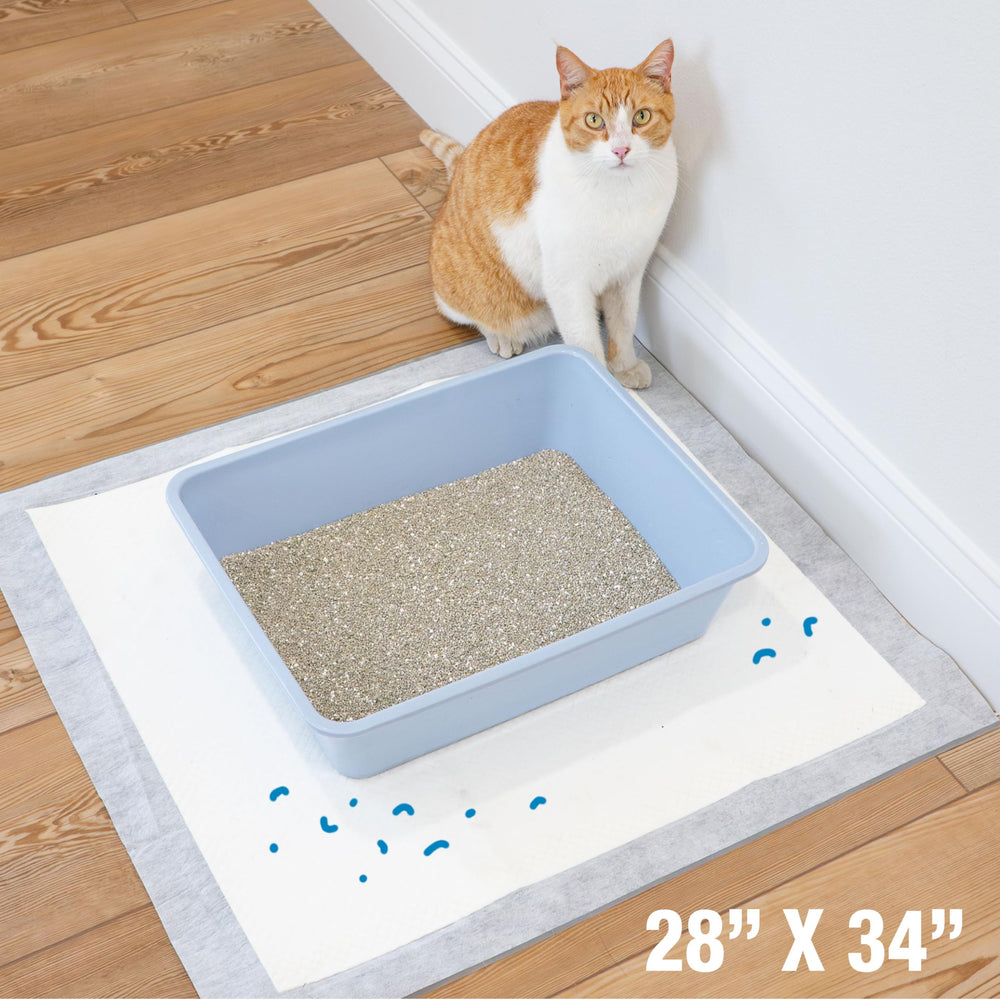 Four Paws texture ultra-plush confortable pour les pattes du chat