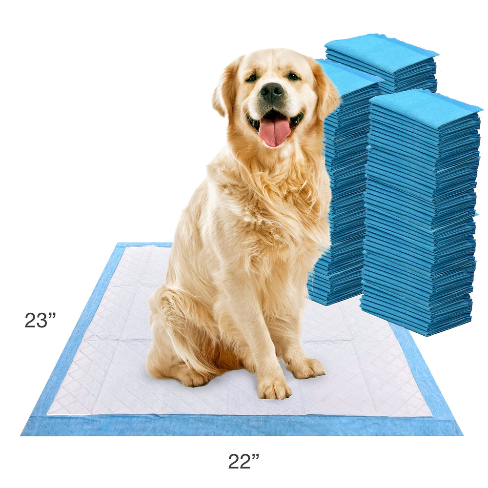 Four Paws tapis tenu à la main montrant l'échelle et la taille pratique