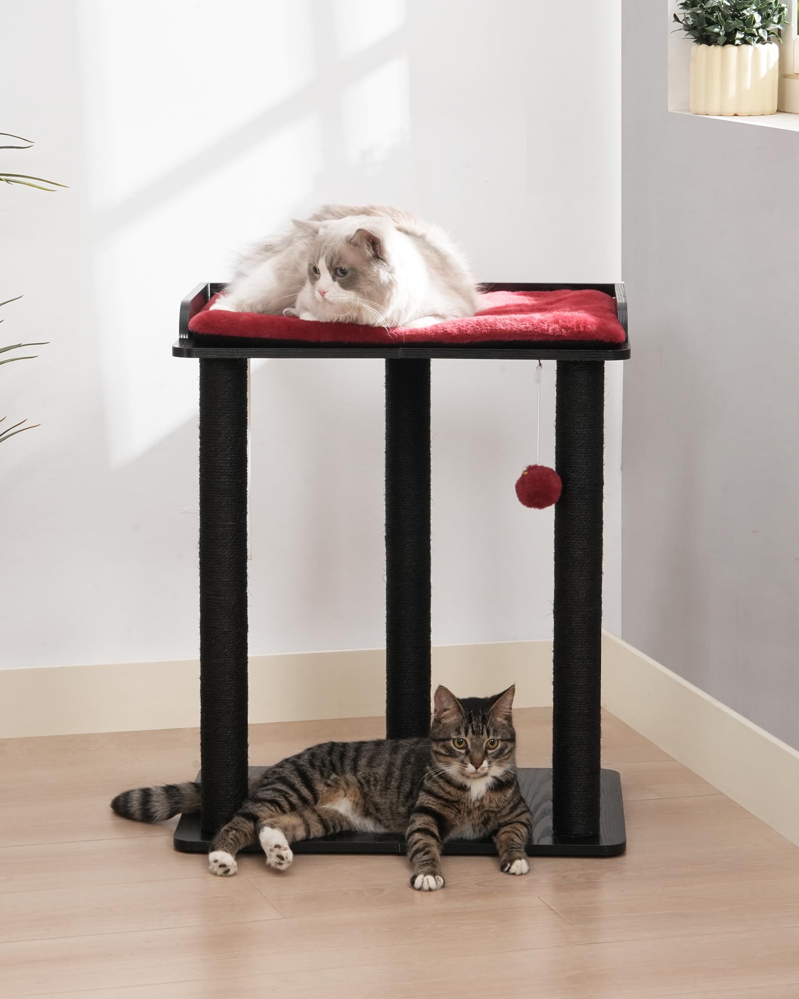FourFurPets gros plan sur poteau sisal naturel résistant aux griffures