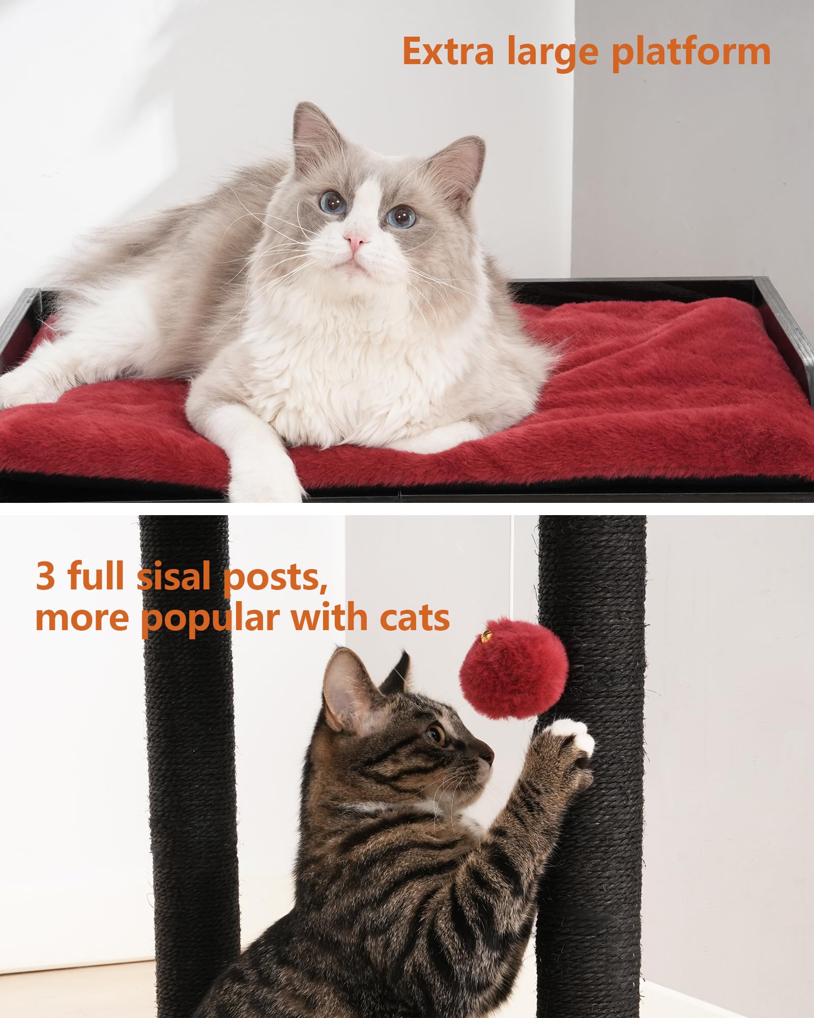 FourFurPets comparaison d'échelle montrant taille adaptée aux grands chats