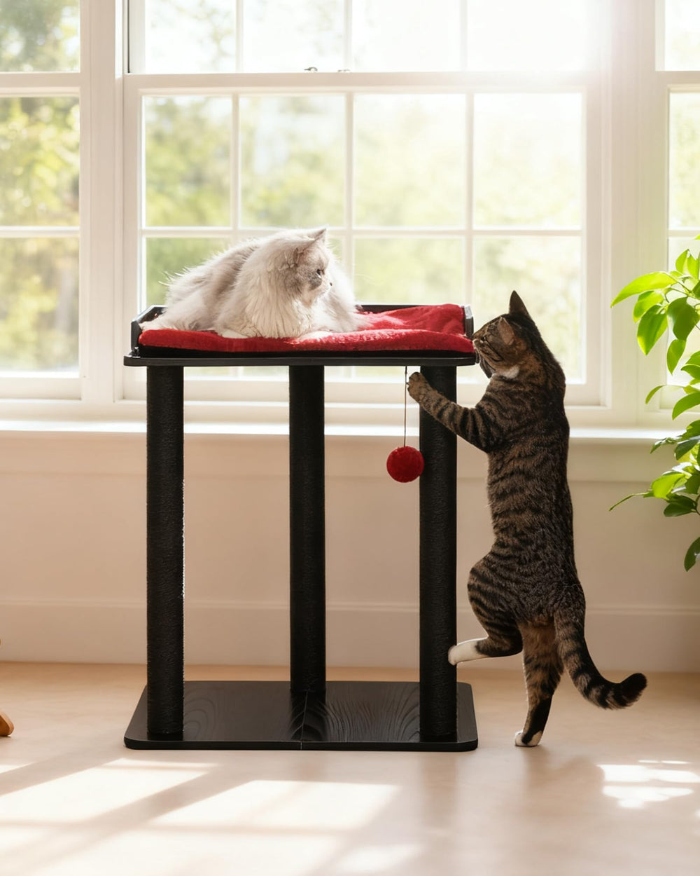 FourFurPets grand plateau 22x15,7 pouce offrant espace de repos