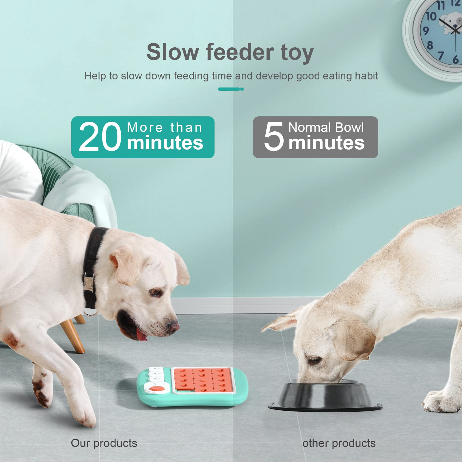 FOXMM chien en train de manipuler le puzzle améliorant sa concentration