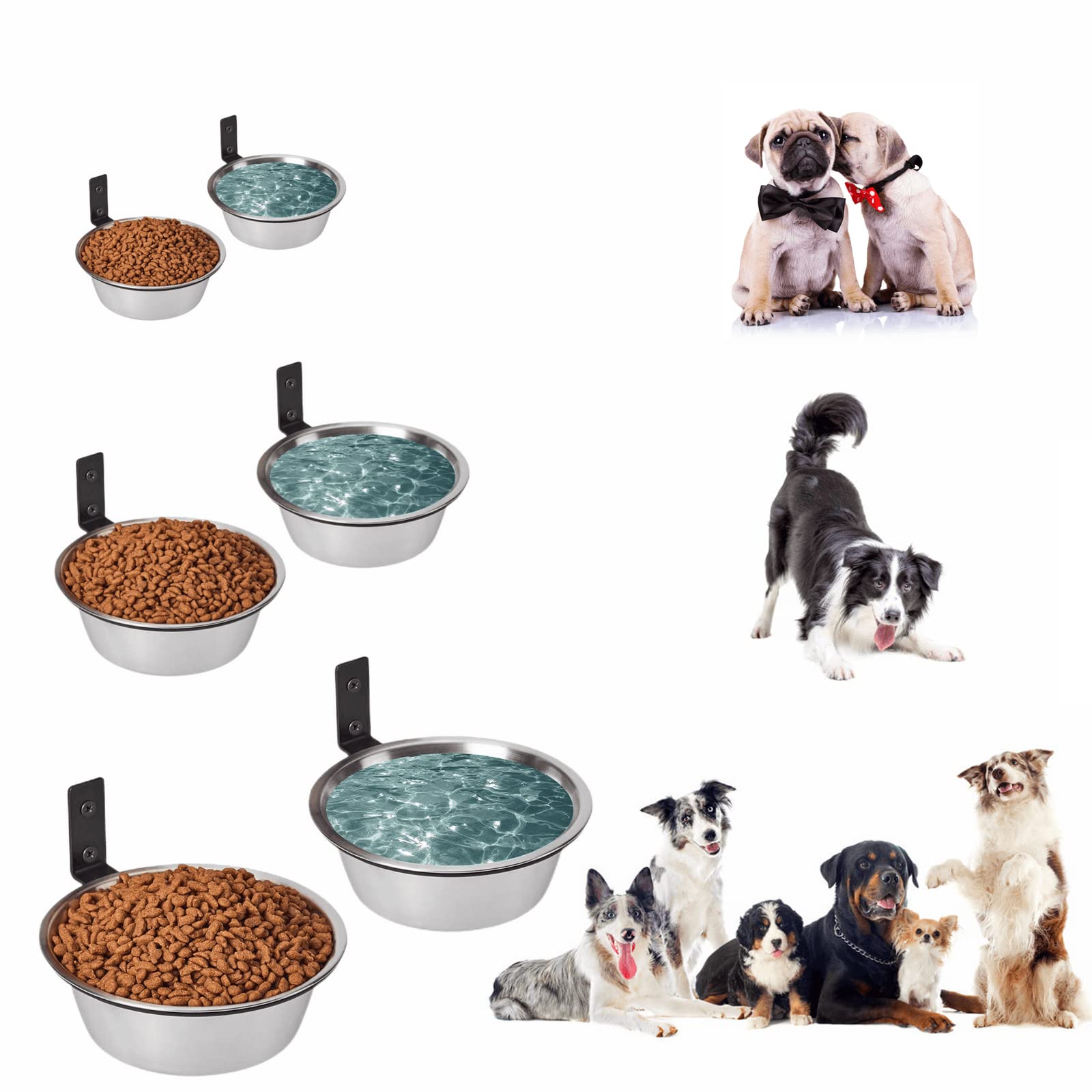 FOYO gamelles en usage avec chien montrant confort de repas