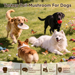 FQMUEV pastilles gros plan révélant texture et appétence pour chien