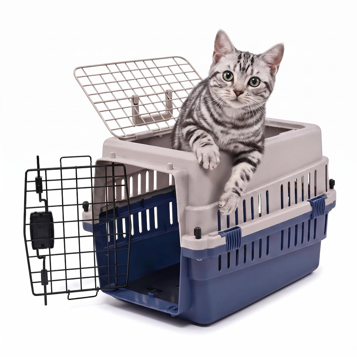 FREEPET vue avant avec porte métallique, sécurité visible pour le transport