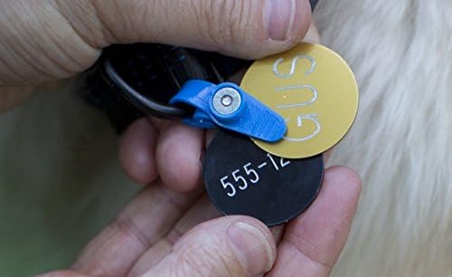 FreezeTag silencer rose comparaison taille pour visualiser l'échelle sur collier