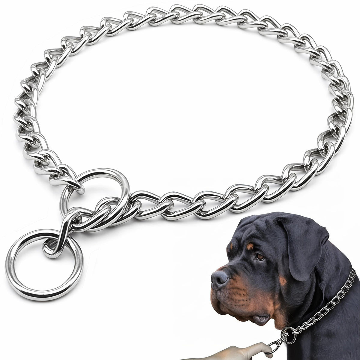 Freezx collier vue avant montrant robustesse et ajustement sécurisé