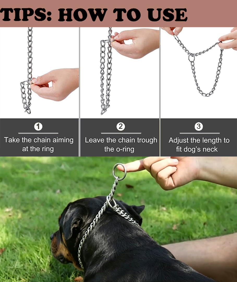 Freezx gros plan cou chien montrant confort et absence d'irritation