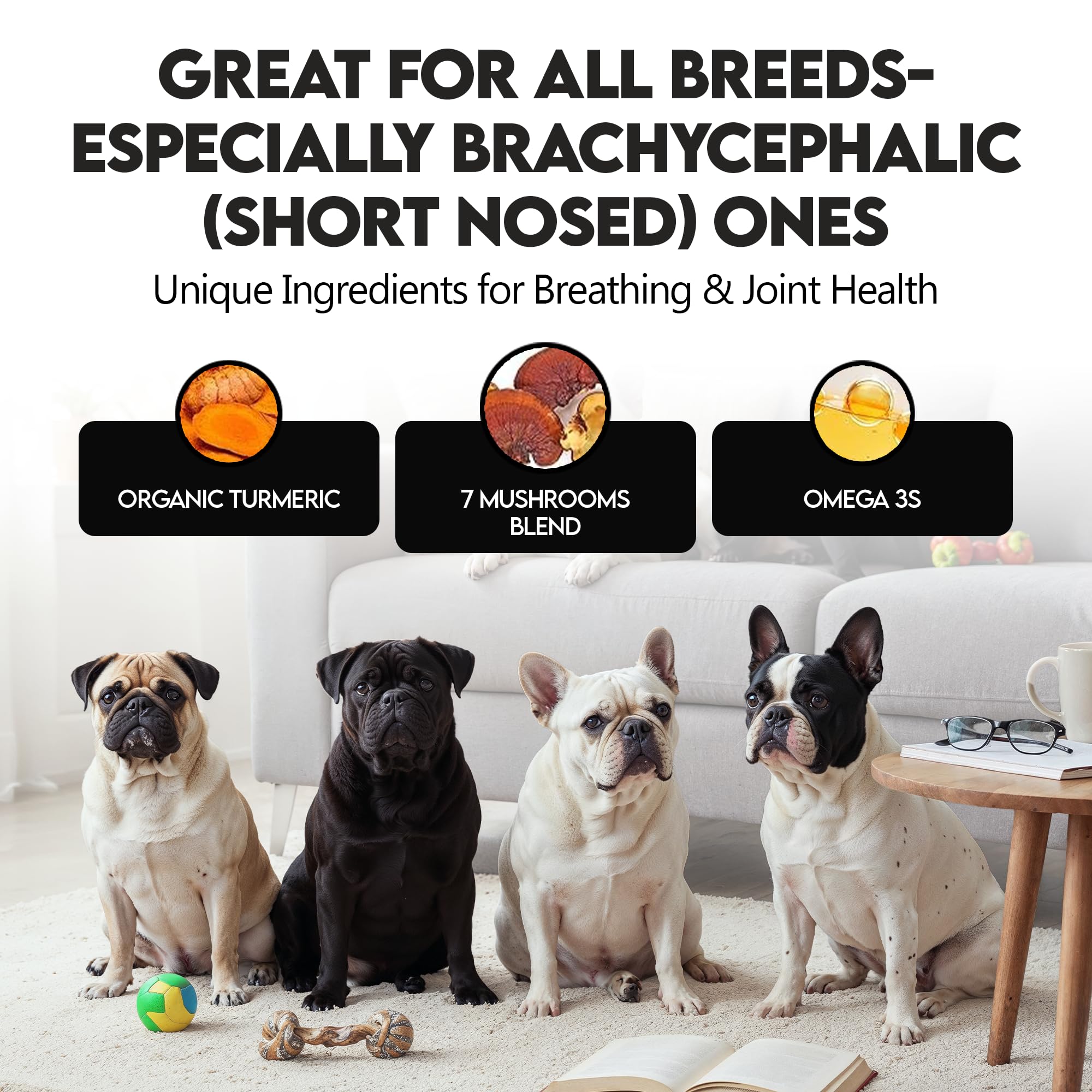 Propriétaire avec Frenchie et Frenchies vs Mushrooms en usage quotidien