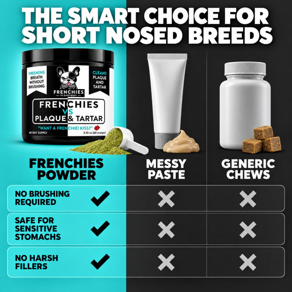 Pot Frenchies vs tenu à la main pour comparaison d'échelle et usage pratique