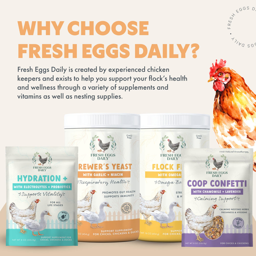 Fresh Eggs Daily produit utilisé dans un poulailler propre réduisant odeurs