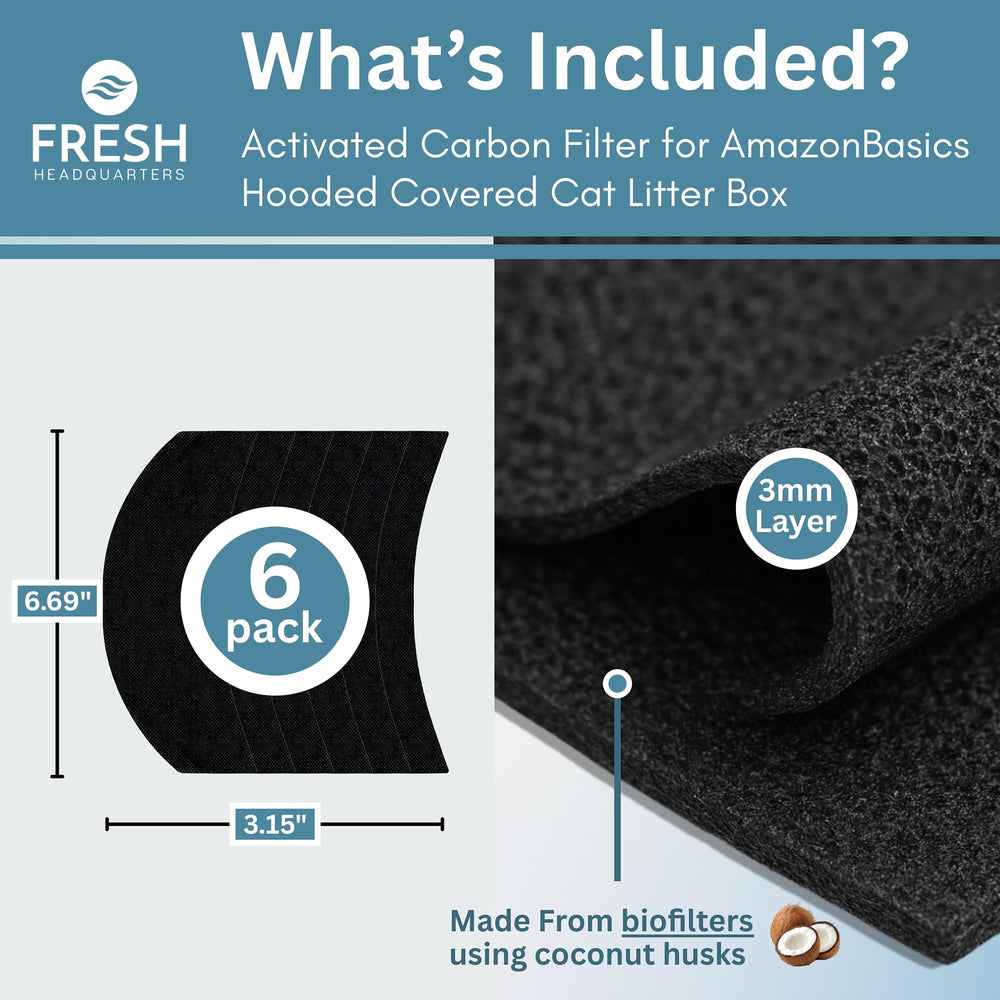 Fresh Headquarters gros plan du charbon actif montrant pores et absorption d'odeurs