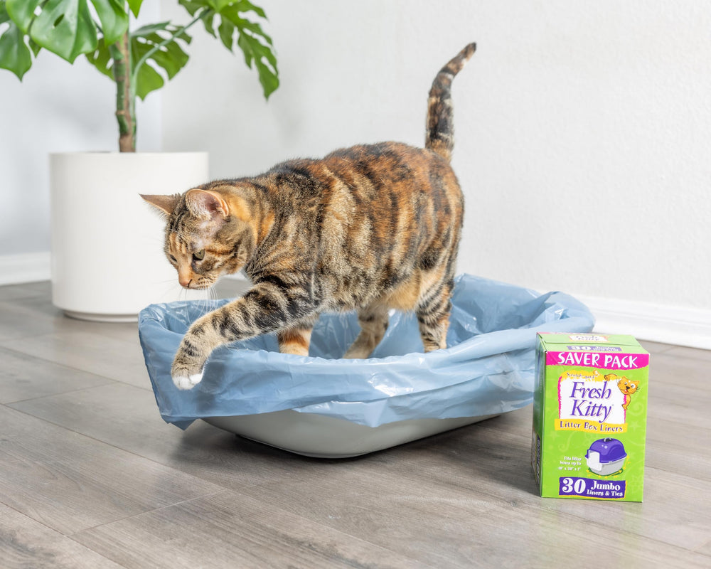 Fresh Kitty scène de cuisine avec bac discret montrant réduction d'odeurs en intérieur