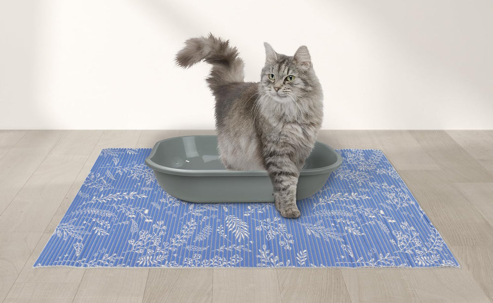 Fresh Kitty gros plan mousse et alvéoles montrant la texture qui retient la litière et facilite le nettoyage