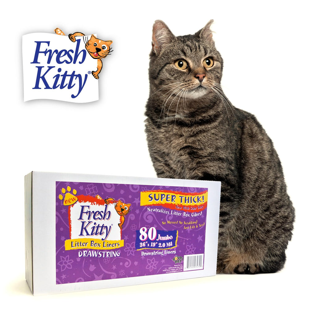 Fresh Kitty emballage avant montrant quantité et format pour rangement pratique