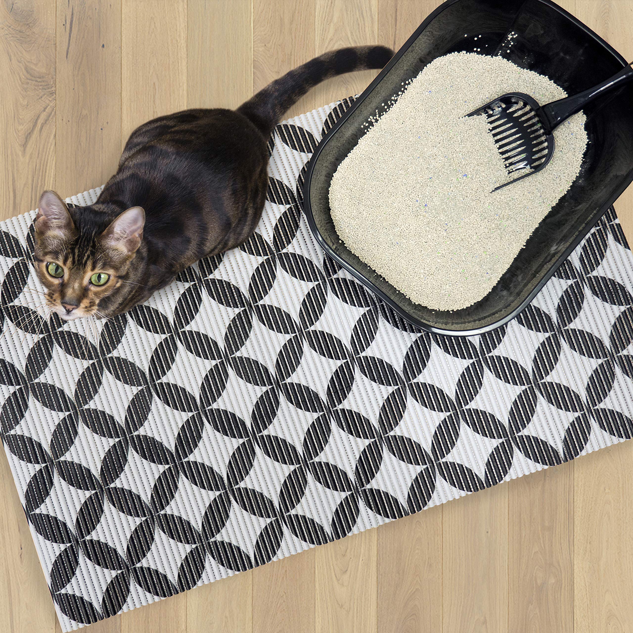 Fresh Kitty tapis à côté d'un bac pour comparaison de taille et couverture étendue