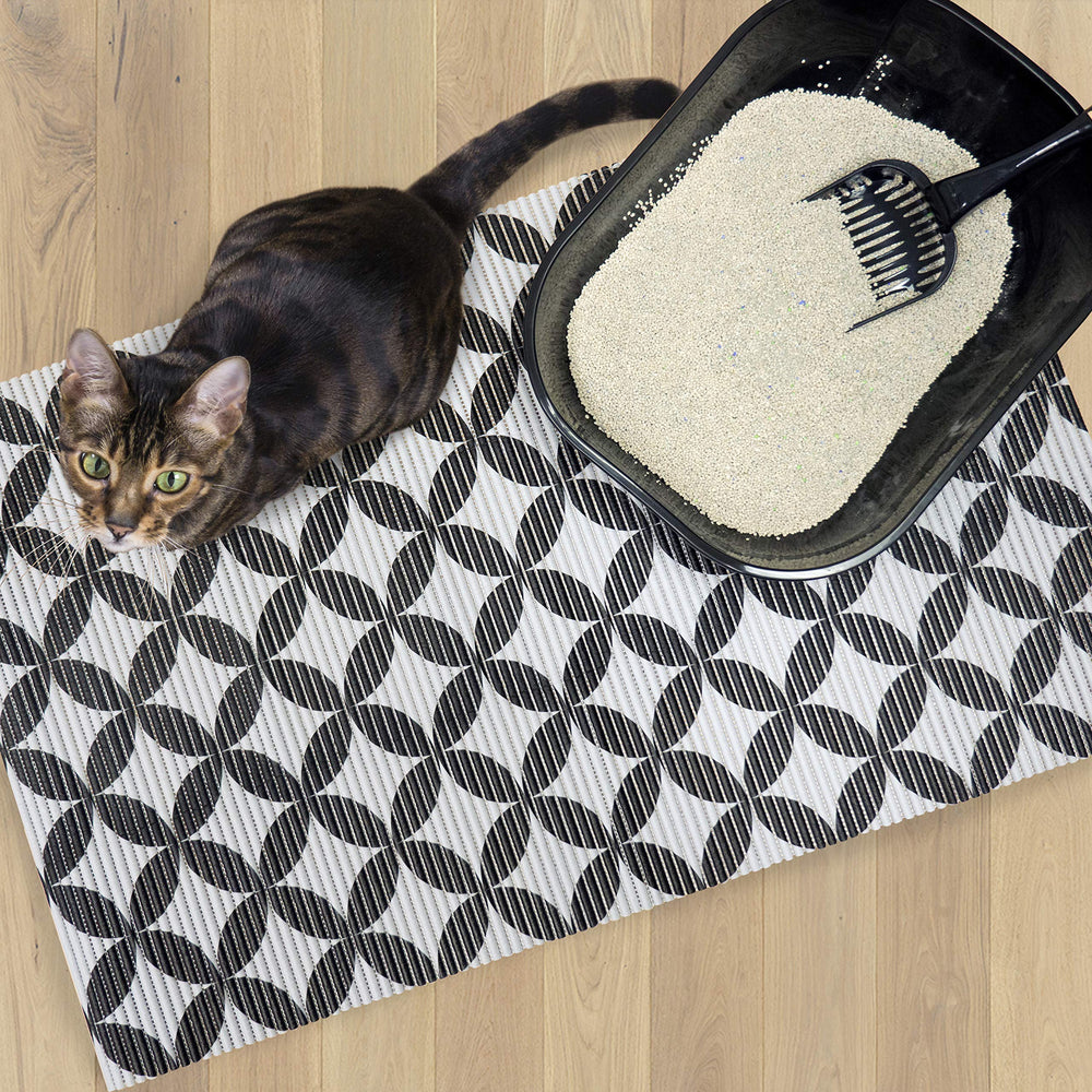 Fresh Kitty tapis à côté d'un bac pour comparaison de taille et couverture étendue