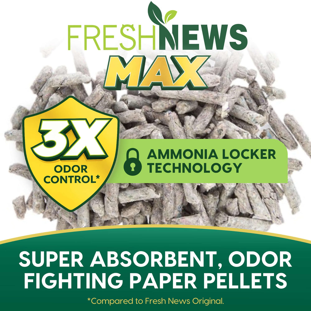 Fresh News gros-plan des granulés de papier absorbants et doux pour pattes
