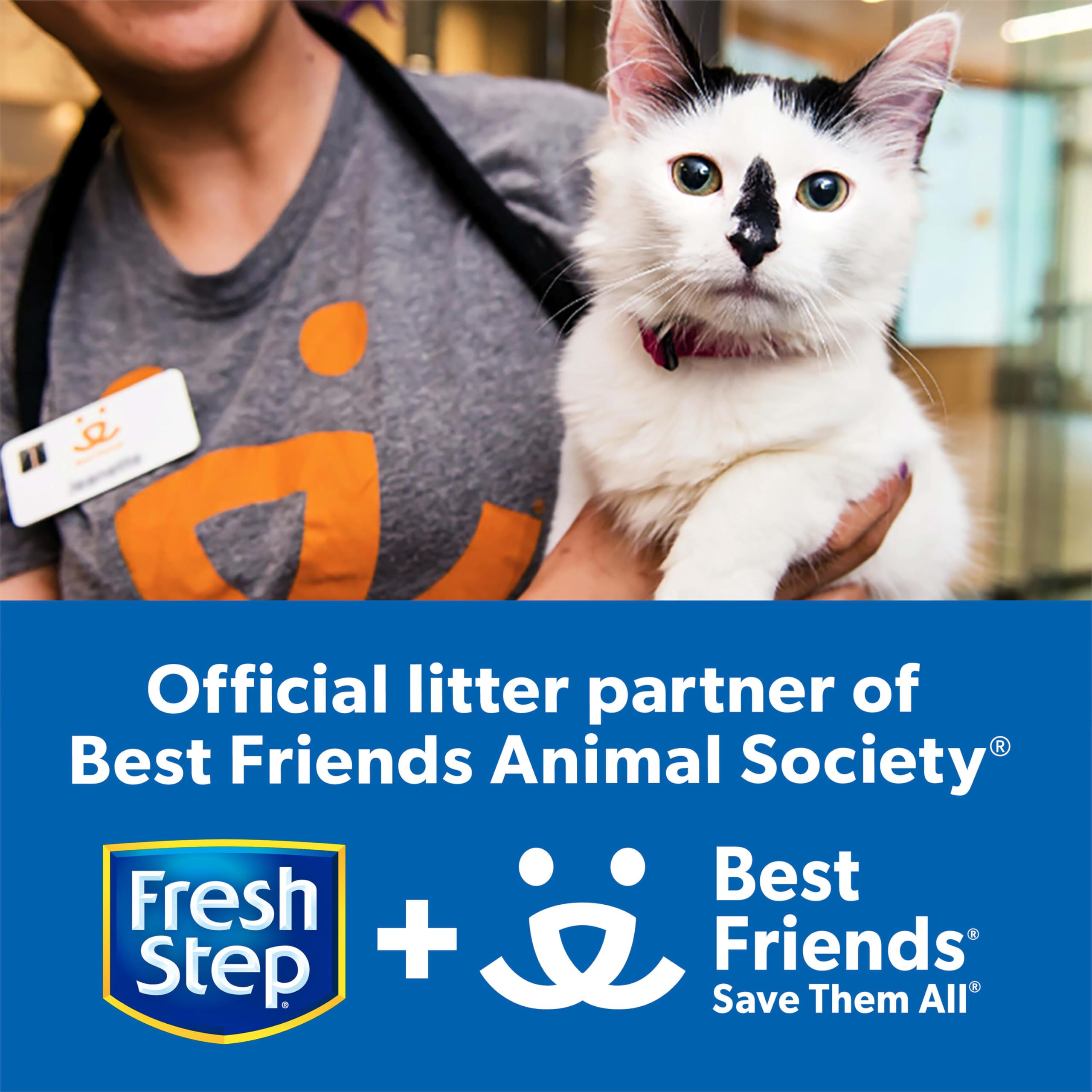 Fresh Step charbon actif gros plan absorbant les odeurs efficacement