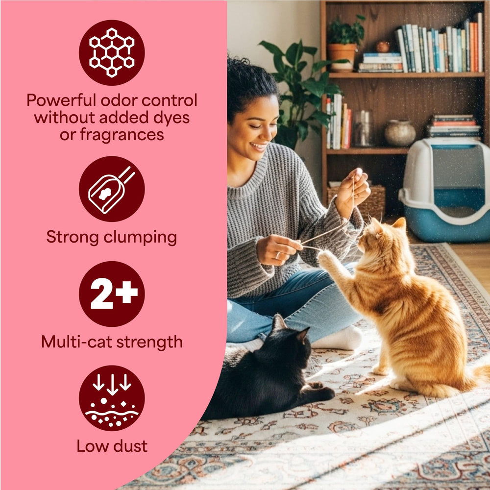 Fresh Step comparaison d’échelle avec 18,5 lb indiquant durée d’utilisation