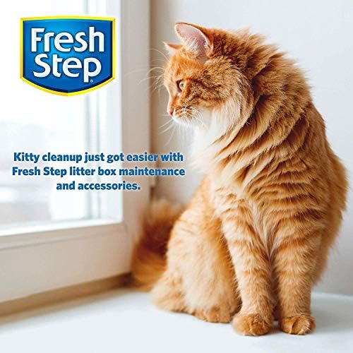 Fresh Step conteneur à côté d'une règle pour comparaison d'échelle