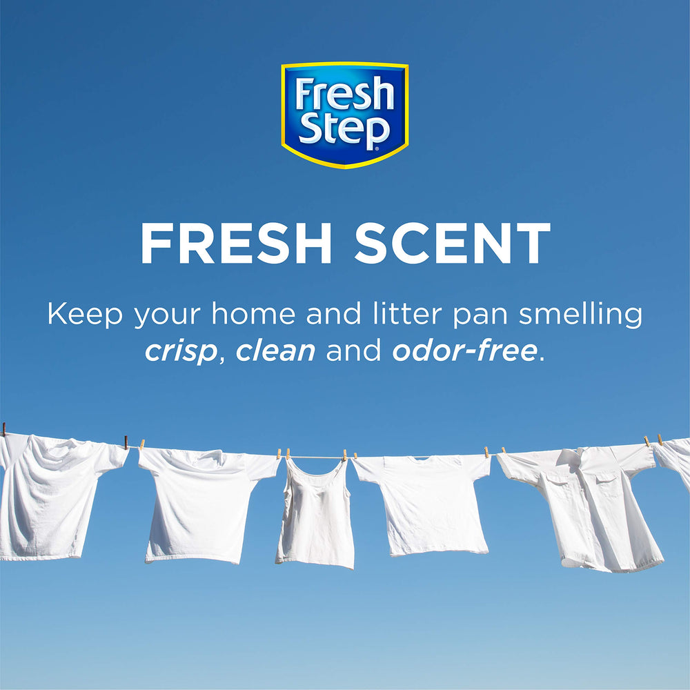 Fresh Step cristaux en gros plan montrant la texture absorbante