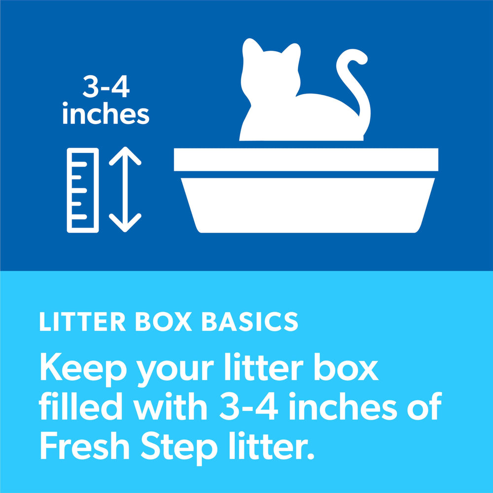 Fresh Step litière dans un bac propre pour une zone hygiénique