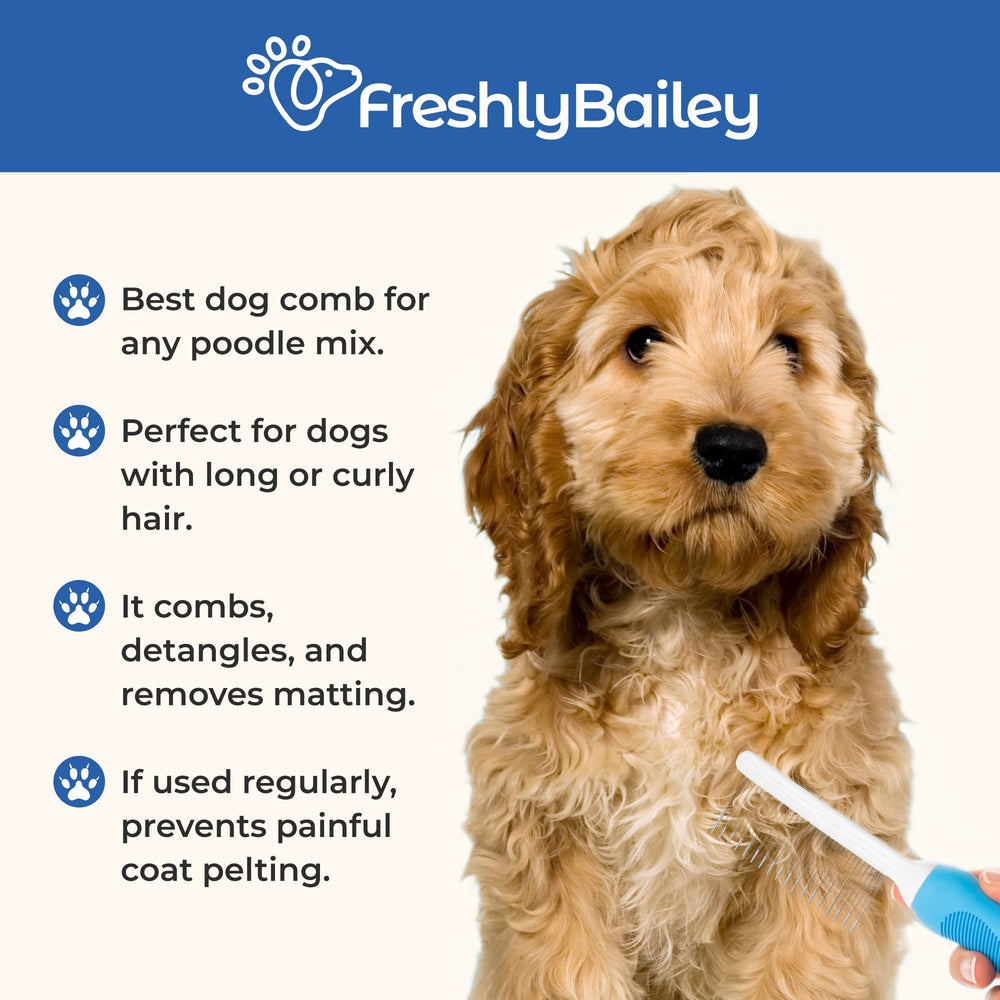 Freshly Bailey peigne en usage sur Goldendoodle, réduit matage et stress