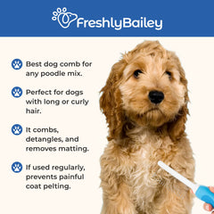 Freshly Bailey peigne en usage sur Goldendoodle, réduit matage et stress