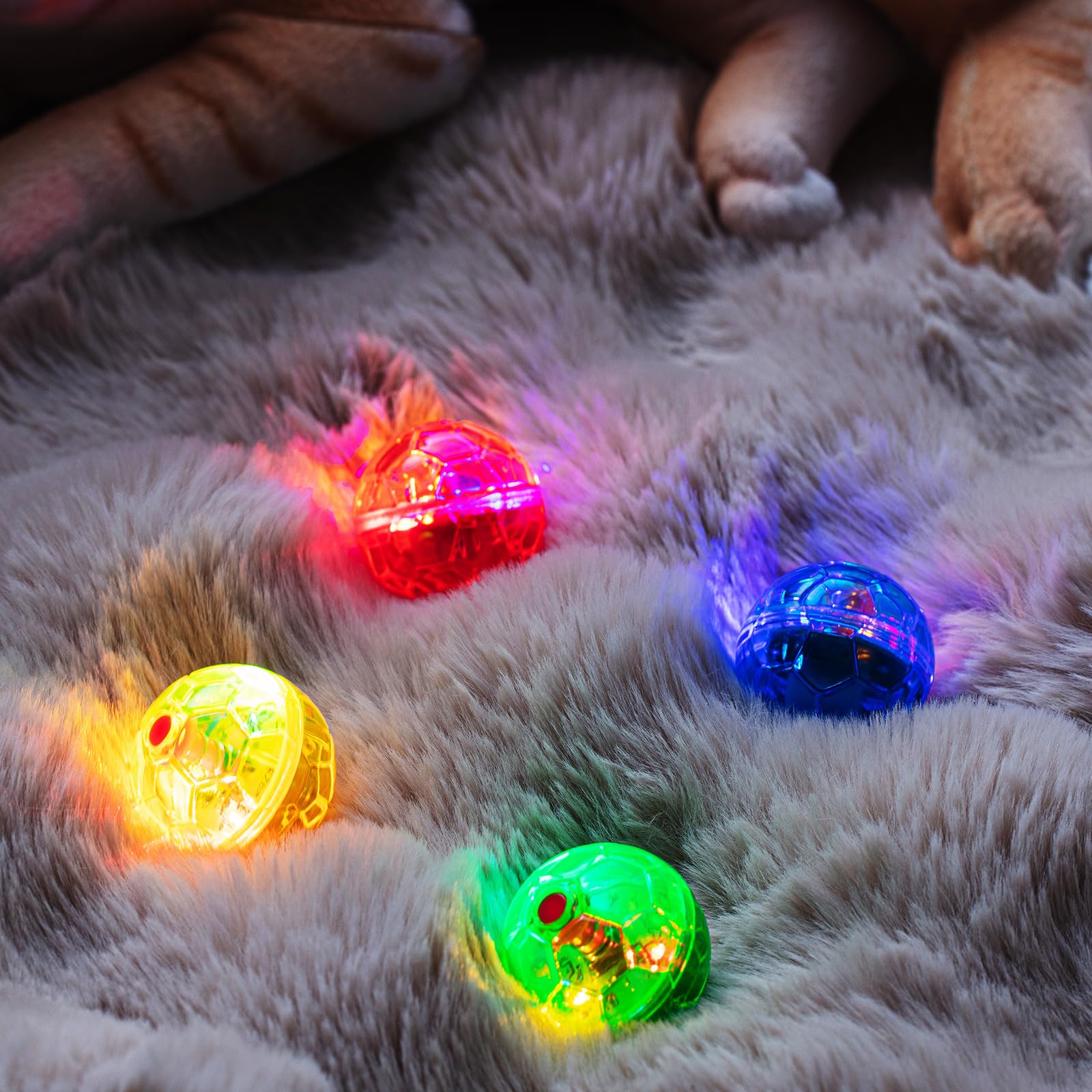 Frienda balle en usage avec chat stimulant chasse et exercice actif