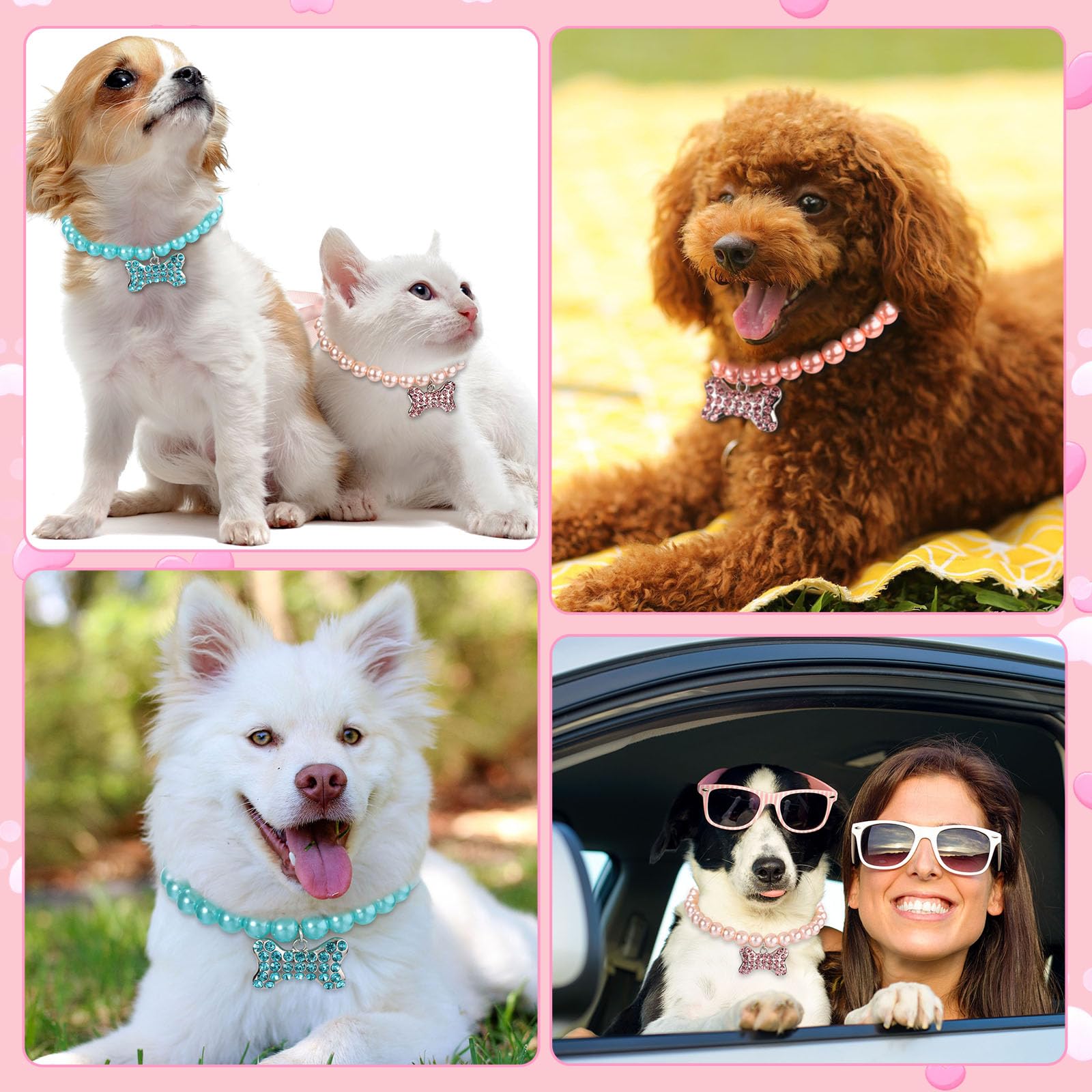 Frienda collier porté sur chiot pour rendu élégant en photo