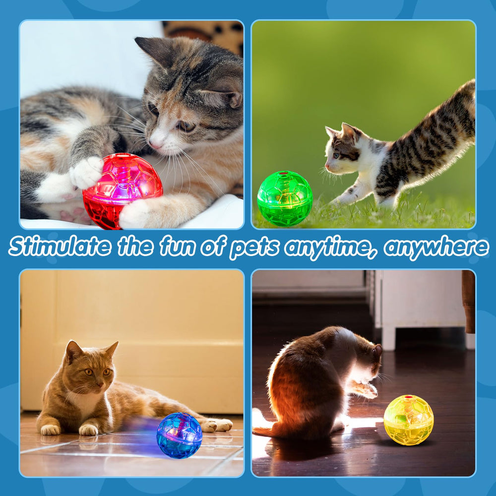 Frienda emballage lot de quatre prêt à offrir ou partager entre animaux