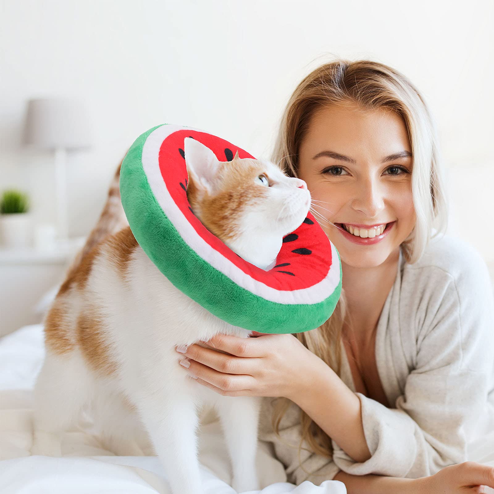 Frienda chat mangeant avec le collier démontrant facilité d'alimentation