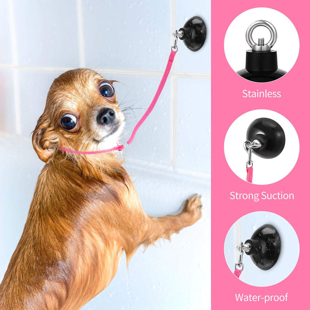 Frienda en usage pendant le bain d'un chien illustrant maintien sûr et calme