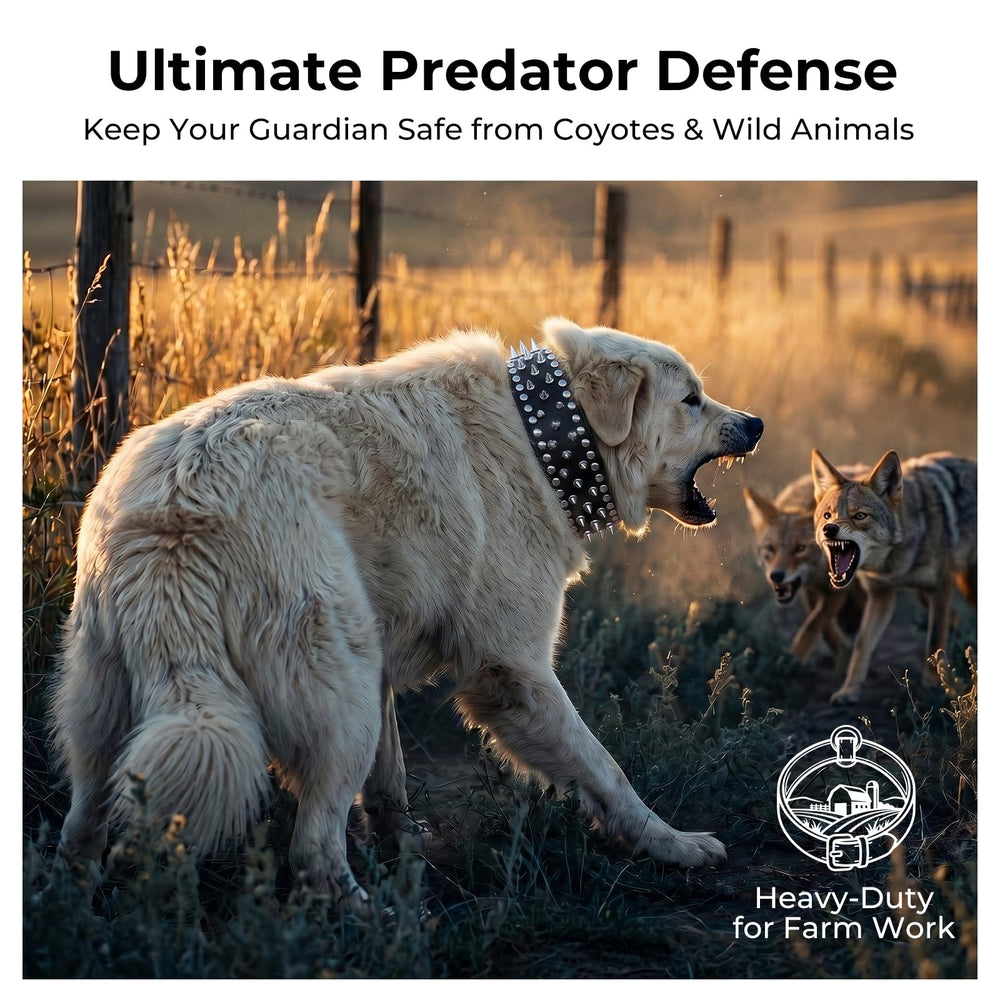 Frienhund D-ring fixe, attache stable sans bruit ni accroc