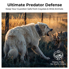 Frienhund D-ring fixe, attache stable sans bruit ni accroc